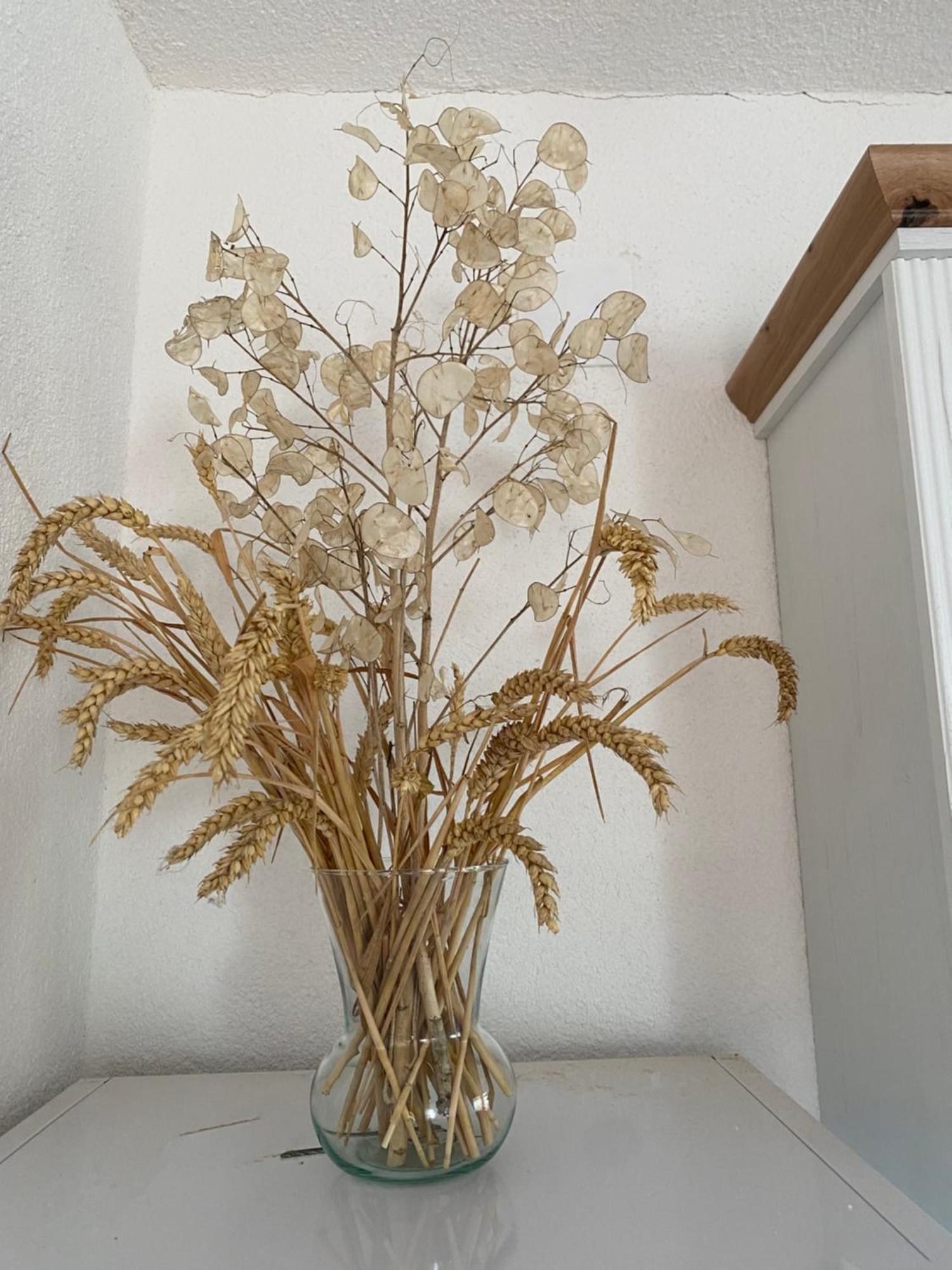 Apartman Kremen Kuterevo 外观 照片